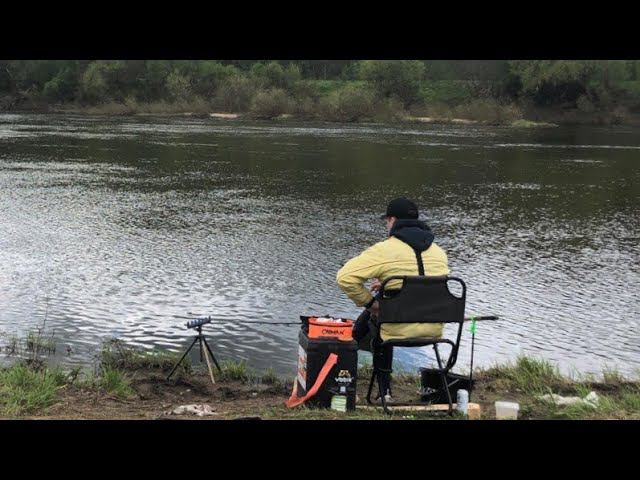 Рыбалка на ФИДЕР в МАЕ на РЕКЕ/ Крупный ЛЕЩ , КРУПНАЯ ГУСТЕРА / Отличная РЫБАЛКА смотреть онлайн