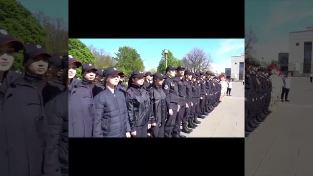 rolik смотреть онлайн