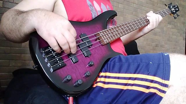 REVIEW BAIXO FERNANDES JAPAN FRB40 CAPTADOR EMGX CIRCUITO EMG PARAMETRICO   THIAGUINHO BASS