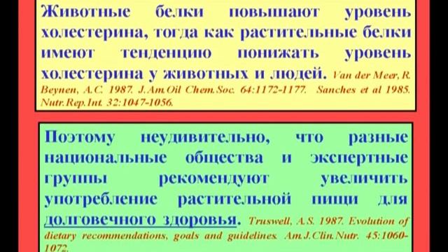 08.Растительные и животные белки смотреть онлайн