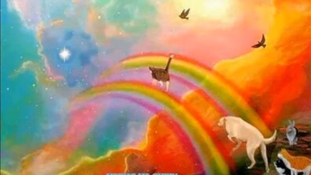 Радужный мост ? читать описание