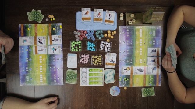 Wingspan playthrough | Engine building game by Stonemaier Games смотреть онлайн