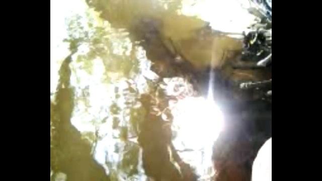 икромёт плотва смотреть онлайн