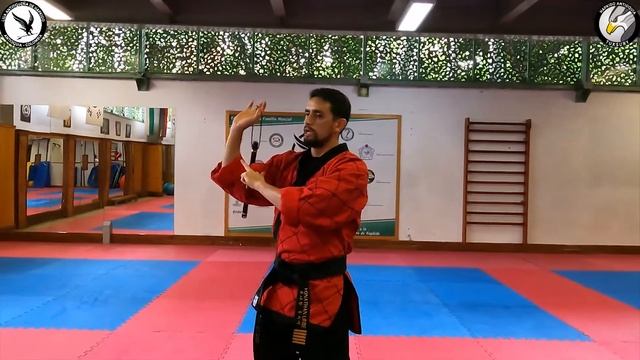 HAPKIDO MEDELLIN COLOMBIA (Tan Bong Básicos con la cuerda) смотреть онлайн