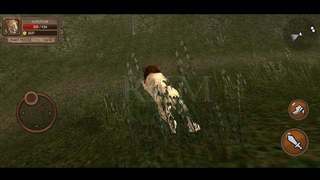 Ultimate Lion Simulator - Animals Battle | Wild Animals | Wild Lion | RKM Gaming | #9 смотреть онлайн