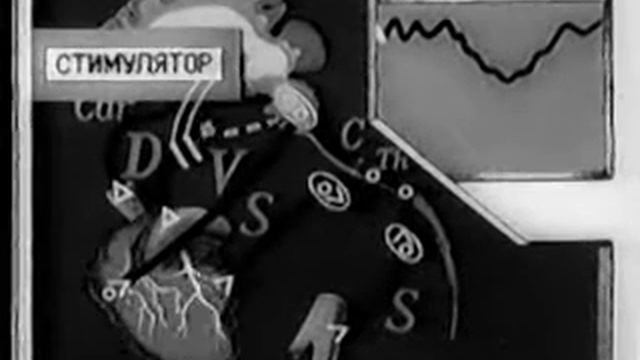 13 Движение Крови по Сосудам смотреть онлайн