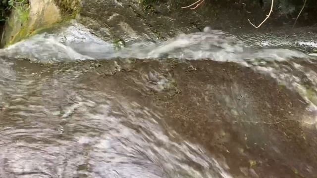 Уникальное место в Краснодарском крае - Свирское ущелье смотреть онлайн