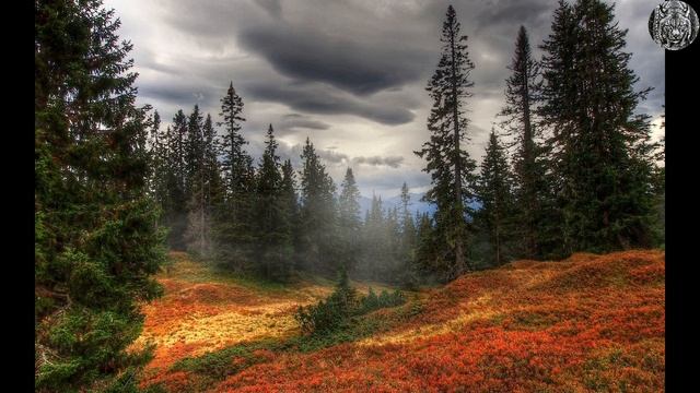 НАПАДЕНИЕ ЛОСЯ. СОБАКА СПАСЛА ОХОТНИКУ ЖИЗНЬ. НА РЕАЛЬНЫХ СОБЫТИЯХ смотреть онлайн