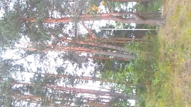 Остановите время. смотреть онлайн