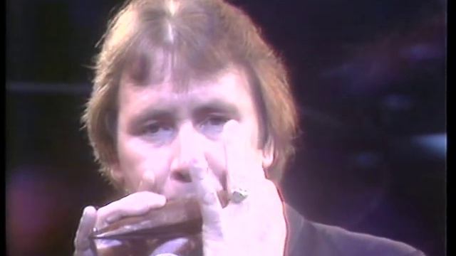 The Troggs - Wild Thing