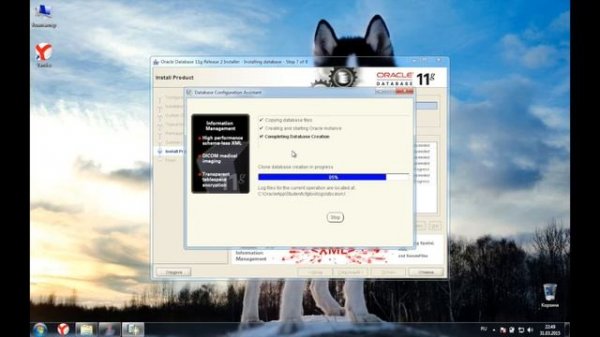 Установка PL/SQL Developer