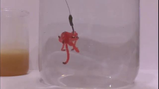 мотыль смотреть онлайн