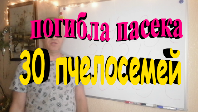 Предновогодняя трагедия. Погибла пасека 30 пчелосемей. смотреть онлайн