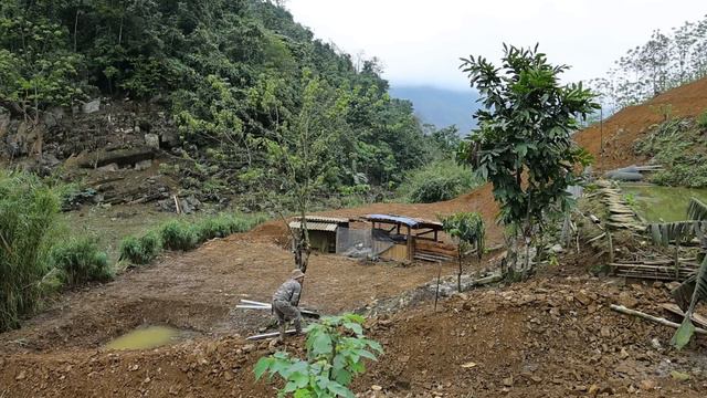 Build A New Farm | Completing The Farm Ground, Rebuilding Solid Fences | Daily Life And Farm