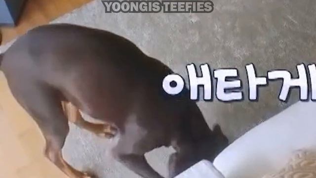 more funny moments of in the soop 2 смотреть онлайн