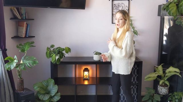 How To Style Your Home With Houseplants! | Planting Your Space