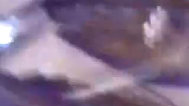 6.04.10 внутри музея.3gp смотреть онлайн