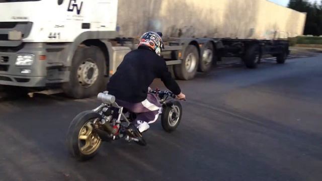 kiesler sprinter high end polini evolution смотреть онлайн