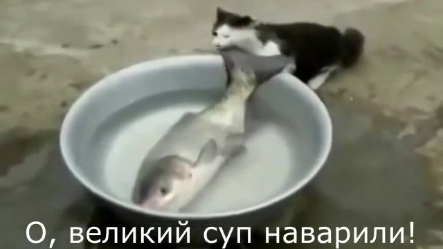 Когда суп слишком ВЕЛИК!