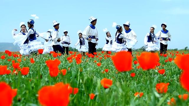 Танцевальная группа "Ак Бийке" и "Кара Жорго". Танец "Кара жорго" смотреть онлайн