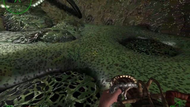 ?Operation: Matriarchy⭐️Прохождение: №[13/19] ? "0-T Портал. Домой" смотреть онлайн