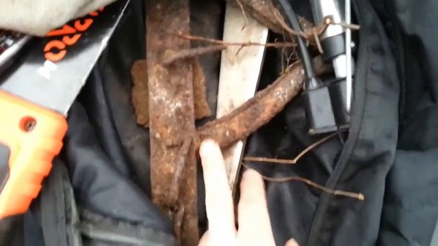 Лесной Коп С Металлоискателем Терминатор Трио Сигналы есть это радует✅?№21 смотреть онлайн