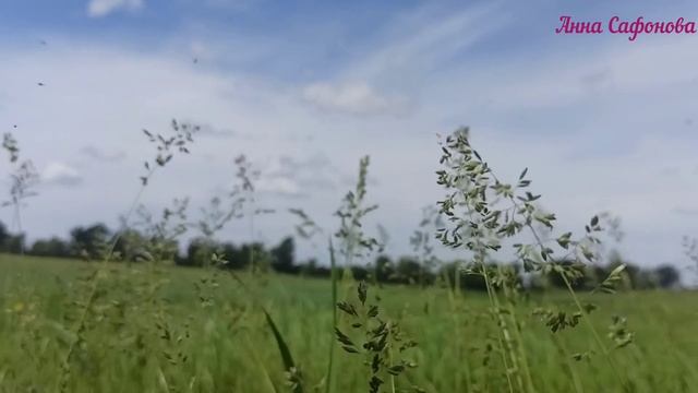 Ты свободна? Посмотри видео, узнай правду смотреть онлайн