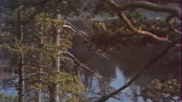 Три окна. А.Макаревич смотреть онлайн