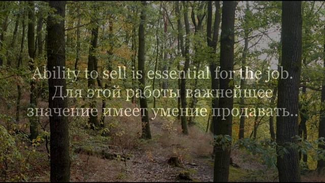 Английский словарь с примерами и переводом №1. English dictionary with examples and translation #1 смотреть онлайн