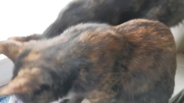 АШАН, ФИКС ПРАЙС, МОЙ СТИЛЬ. Покупки... смотреть онлайн