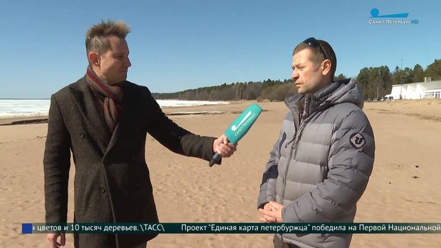 Спасти пасхального тюленя: что делать, если вы обнаружили на берегу ластоногого в опасности смотреть онлайн