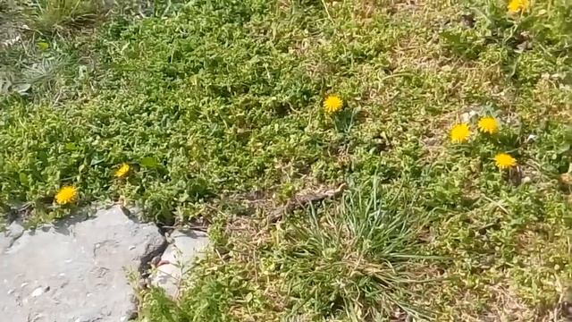 ВОТ, ЧТО ДЕЛАТЬ, ЧТОБЫ ЧУДО ПРИШЛО ИМЕННО К ВАМ- РЕАЛЬНО РАБОТАЕТ 21.04.2020 смотреть онлайн
