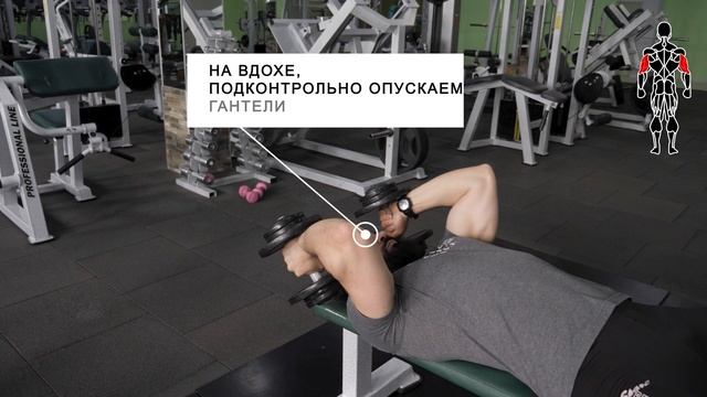 Французский жим с гантелями смотреть онлайн