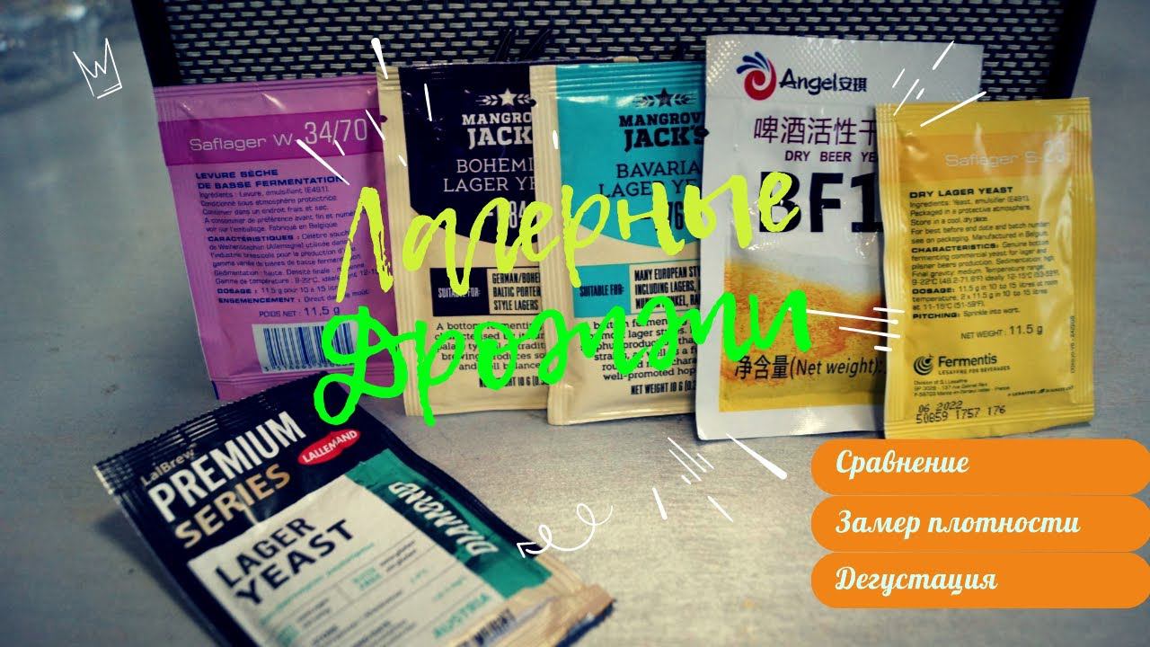 ПИВНЫЕ ДРОЖЖИ! НА ЧЕМ СБРАЖИВАТЬ ЛАГЕР? ЭКСПЕРИМЕНТ/ ЗАМЕР ПЛОТНОСТИ/ДЕГУСТАЦИЯ. смотреть онлайн