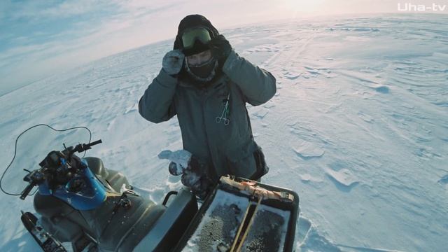 РЫБАЛКА В ЛЮТЫЙ МОРОЗ, ЗА 1000 км ОТ ДОМА. РЫБИНСКОЕ ВОДОХРАНИЛИЩЕ. ВЕРНУТЬСЯ ДОМОЙ ЛЮБОЙ ЦЕНОЙ смотреть онлайн