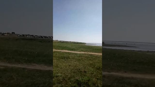 Соленое озеро Медвежье. Курганская область. смотреть онлайн