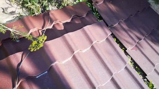 Ремонтные Мастерские