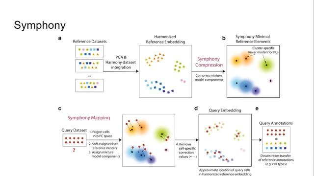 Ксения Петрова "Harmony и Symphony - интеграция и мэппинг scRNA-seq данных" смотреть онлайн