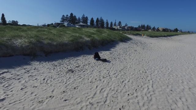 Phantom 3 FPV the old fashioned way смотреть онлайн
