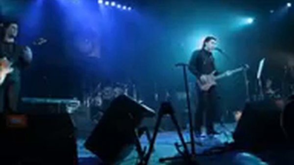 Гибралтар Лабрадор В Бутусов