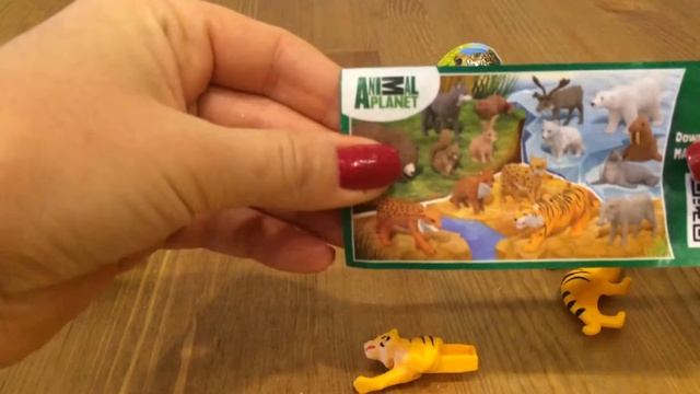 Обзор Kinder Surprise Animal Planet смотреть онлайн