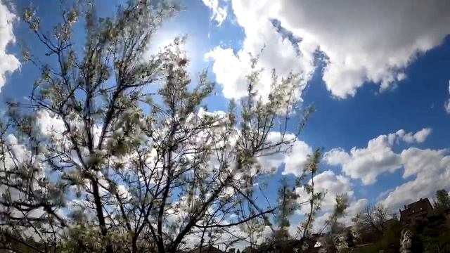 У мужчины серьезные намерения. 7 признаков. смотреть онлайн