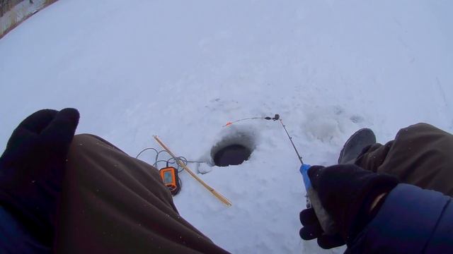 Ловля плотвы ,рыбалка на озере ПЛОТВА ЗИМОЙ НА МОРМЫШКУ! смотреть онлайн