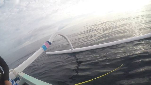 Махи-Махи на 8кг! Рыбалка на Бали смотреть онлайн