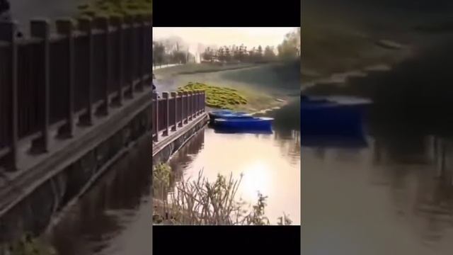 Видео,приколы,юмор,смех смотреть онлайн