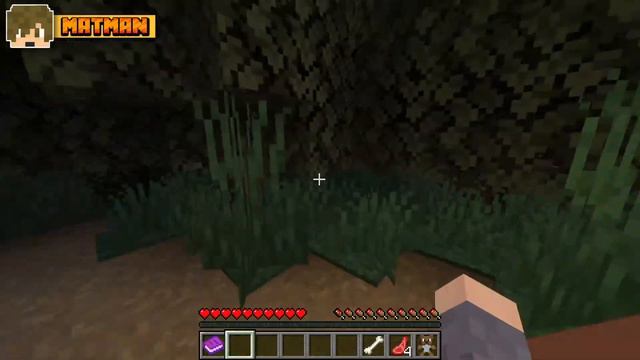 STATE LONTANI DALLO SMILING MAN… ║ POISON - Minecraft Horror Map ITA ║ Parte 1 смотреть онлайн