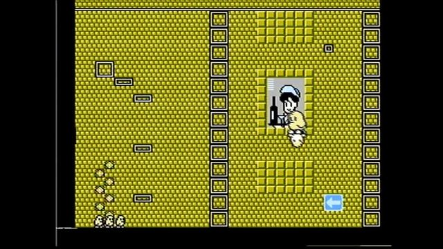 Kiwi Kraze Gameplay | NES смотреть онлайн
