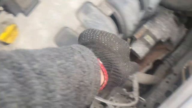 Разборка Renault - Clio 1998-2008, 1.1 (VIN: VF1CB05CF29491548) YR53MZP смотреть онлайн