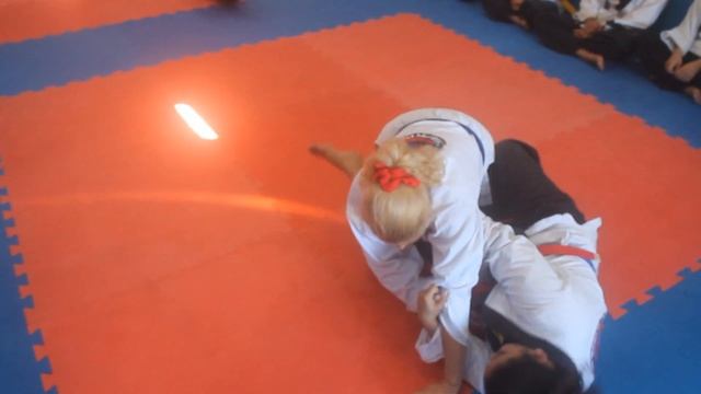 Hapkido - Golpes De Solo - Ass. Hwarang Ryu