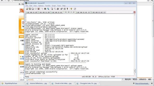 01.25.04_Oracle_10gR2_RACDG_1.25.4 Verify Agent Status(2012_01_12).flv смотреть онлайн
